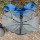 Рюкзак туристичний Granite Gear Virga 26 Rg Brilliant Blue/Moonmist (925096) + 6